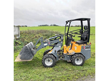 Mini carregadeira Giant D254SW: foto 2 Mini carregadeira Giant D254SW: foto 2
