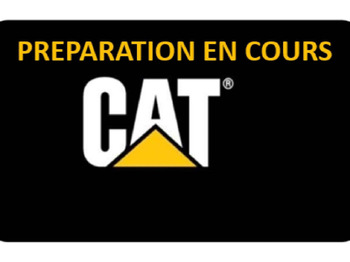 Escavadora de rastos CATERPILLAR 313