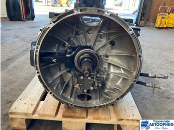 : foto do cabeçalho