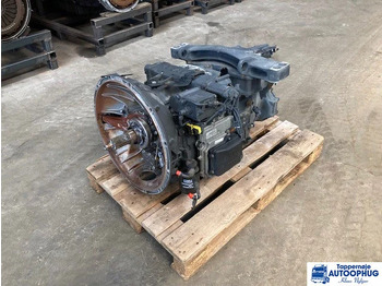 : foto do cabeçalho