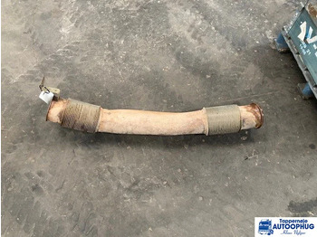 : foto do cabeçalho