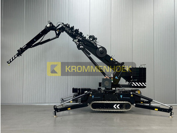 Mini grua