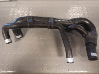 : foto do cabeçalho