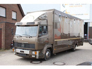 Caminhão para transporte de cavalos MERCEDES-BENZ