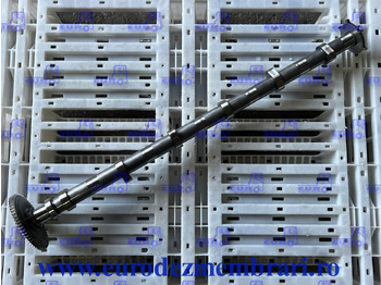 : foto do cabeçalho