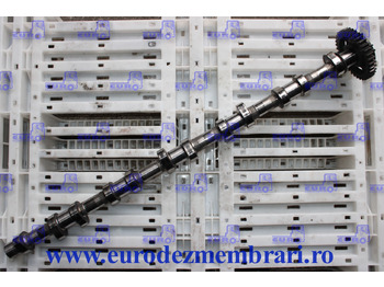 Árvore de cames MAN