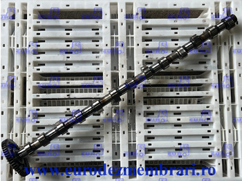 Árvore de cames MAN TGX