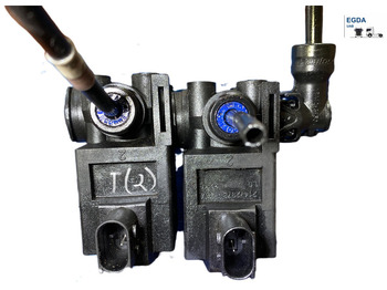 : foto do cabeçalho