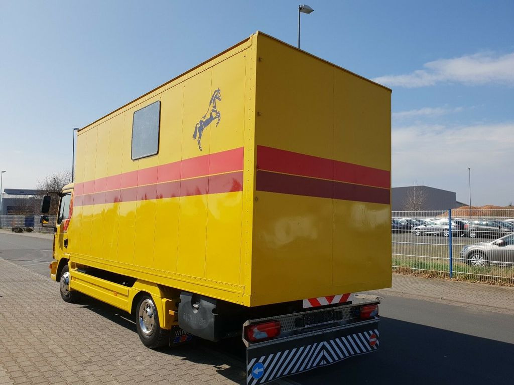 MAN TGL 10.180 Euro 4 Pferdetransporter Horse - Caminhão para transporte de cavalos: foto 5 MAN TGL 10.180 Euro 4 Pferdetransporter Horse - Caminhão para transporte de cavalos: foto 5