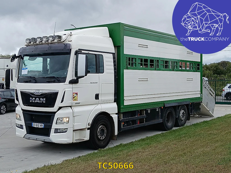 MAN TGX 460 - Caminhão transporte de gado: foto 1 MAN TGX 460 - Caminhão transporte de gado: foto 1
