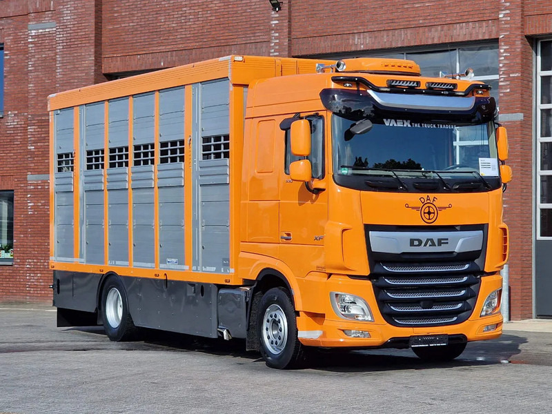 DAF XF 530 4x2 - Livestock Menke 2 deck water & ventilation - Caminhão transporte de gado: foto 3 DAF XF 530 4x2 - Livestock Menke 2 deck water & ventilation - Caminhão transporte de gado: foto 3