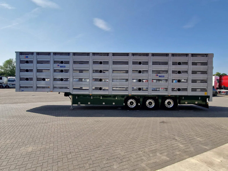Onbekend Molas 5 deck Livestock trailer - Water & Ventilation - Loadlift - NEW! - - Semireboque transporte de gado: foto 5 Onbekend Molas 5 deck Livestock trailer - Water & Ventilation - Loadlift - NEW! - - Semireboque transporte de gado: foto 5
