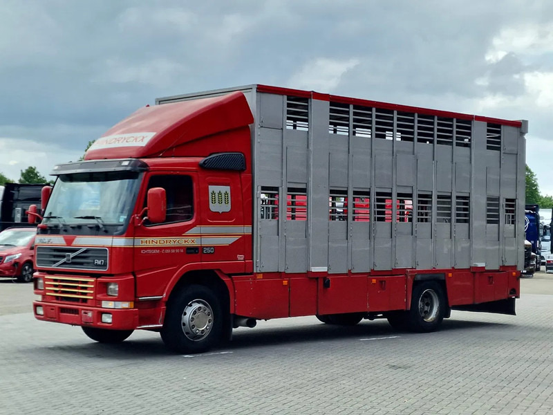 Volvo FM 250 4x- Livestock 2 deck - Lifting floors - Loadlift - Manual gearbox - Caminhão transporte de gado: foto 3 Volvo FM 250 4x- Livestock 2 deck - Lifting floors - Loadlift - Manual gearbox - Caminhão transporte de gado: foto 3
