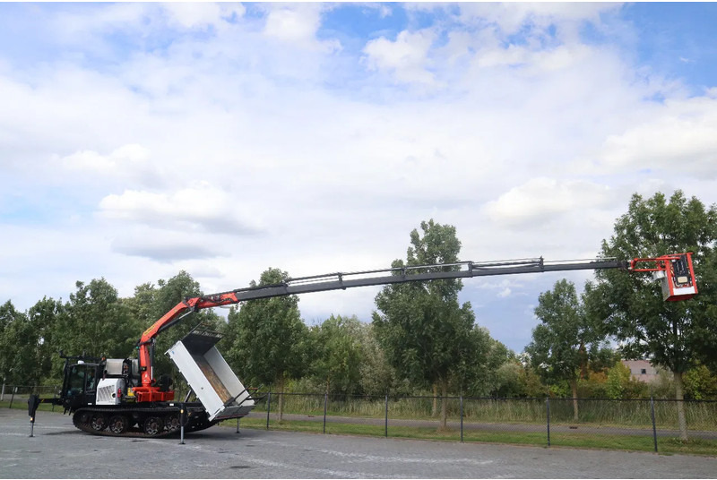 Prinoth PANTHER T8 | PALFINGER 18502 | WORK PLATFORM | CRANE / KRAN - Dumper de rastos: foto 2 Prinoth PANTHER T8 | PALFINGER 18502 | WORK PLATFORM | CRANE / KRAN - Dumper de rastos: foto 2