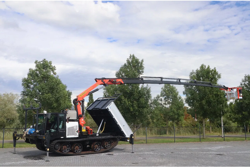 Prinoth PANTHER T8 | PALFINGER 18502 | WORK PLATFORM | CRANE / KRAN - Dumper de rastos: foto 1 Prinoth PANTHER T8 | PALFINGER 18502 | WORK PLATFORM | CRANE / KRAN - Dumper de rastos: foto 1