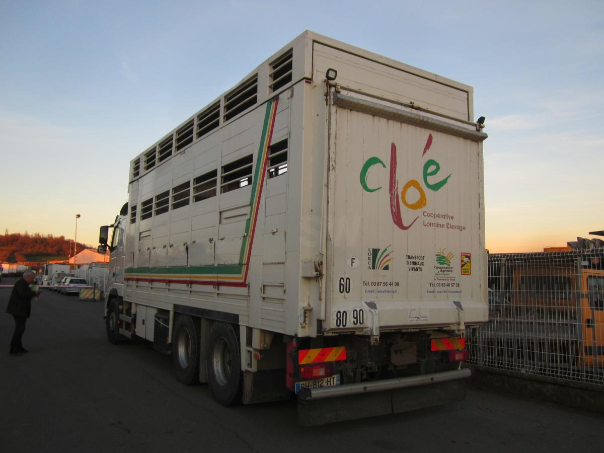 Volvo FH 460 - Caminhão transporte de gado: foto 5 Volvo FH 460 - Caminhão transporte de gado: foto 5