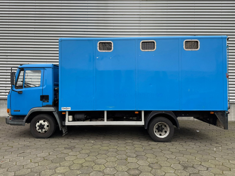 DAF LF45.130 / Horse Truck / 6 Cilinder / Manual Gearbox / Euro 2 / NL Trucks - Caminhão transporte de gado: foto 5 DAF LF45.130 / Horse Truck / 6 Cilinder / Manual Gearbox / Euro 2 / NL Trucks - Caminhão transporte de gado: foto 5