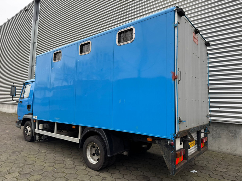 DAF LF45.130 / Horse Truck / 6 Cilinder / Manual Gearbox / Euro 2 / NL Trucks - Caminhão transporte de gado: foto 4 DAF LF45.130 / Horse Truck / 6 Cilinder / Manual Gearbox / Euro 2 / NL Trucks - Caminhão transporte de gado: foto 4