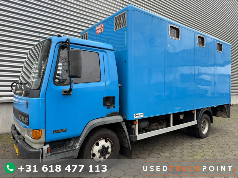 DAF LF45.130 / Horse Truck / 6 Cilinder / Manual Gearbox / Euro 2 / NL Trucks - Caminhão transporte de gado: foto 1 DAF LF45.130 / Horse Truck / 6 Cilinder / Manual Gearbox / Euro 2 / NL Trucks - Caminhão transporte de gado: foto 1