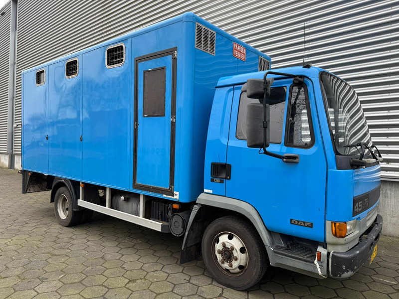 DAF LF45.130 / Horse Truck / 6 Cilinder / Manual Gearbox / Euro 2 / NL Trucks - Caminhão transporte de gado: foto 2 DAF LF45.130 / Horse Truck / 6 Cilinder / Manual Gearbox / Euro 2 / NL Trucks - Caminhão transporte de gado: foto 2