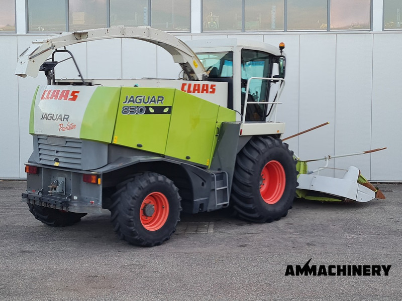 Claas Jaguar 830 profistar - Picadora de forragem automotriz: foto 5 Claas Jaguar 830 profistar - Picadora de forragem automotriz: foto 5