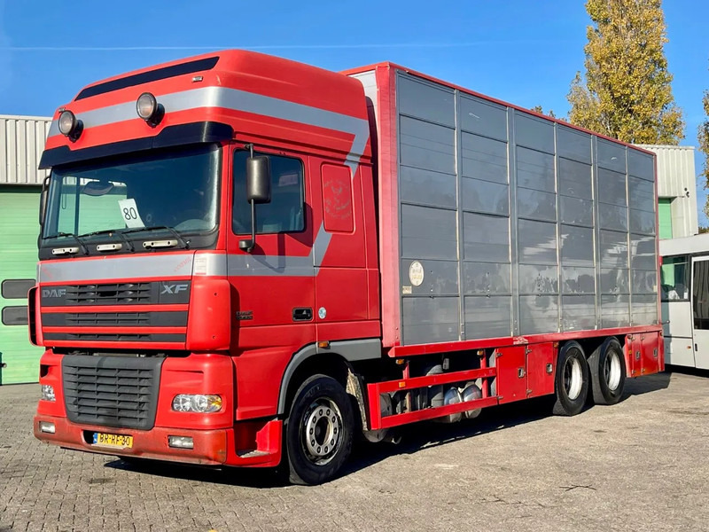 DAF XF 95.430 BERDEX 3 decks. Water, fans, Scales! Excellent condition. - Caminhão transporte de gado: foto 1 DAF XF 95.430 BERDEX 3 decks. Water, fans, Scales! Excellent condition. - Caminhão transporte de gado: foto 1