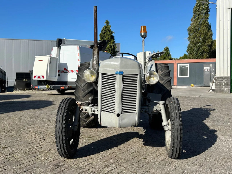 Diversen FERGUSON tractor - Trator: foto 5 Diversen FERGUSON tractor - Trator: foto 5