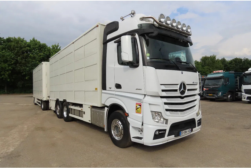 Mercedes-Benz Actros 2551 BERDEX 3 decks, All options + Berdex 12/ 2007 - Caminhão transporte de gado: foto 1 Mercedes-Benz Actros 2551 BERDEX 3 decks, All options + Berdex 12/ 2007 - Caminhão transporte de gado: foto 1