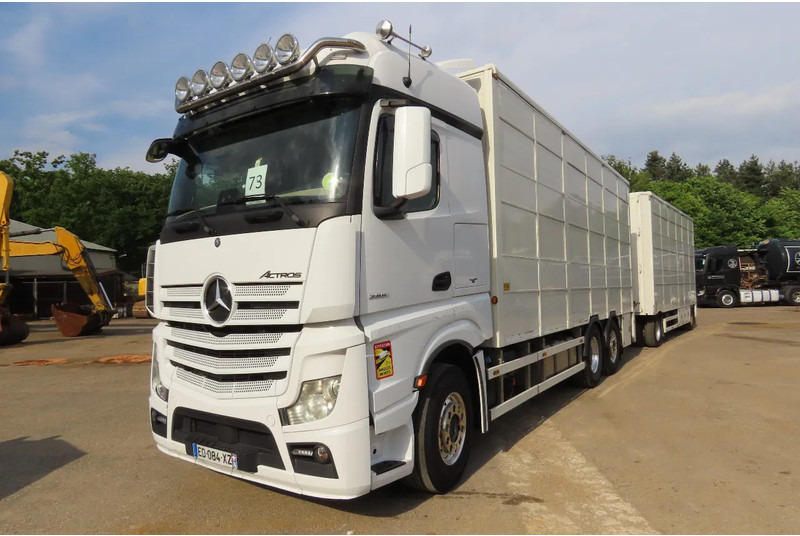 Mercedes-Benz Actros 2551 BERDEX 3 decks, All options + Berdex 12/ 2007 - Caminhão transporte de gado: foto 3 Mercedes-Benz Actros 2551 BERDEX 3 decks, All options + Berdex 12/ 2007 - Caminhão transporte de gado: foto 3