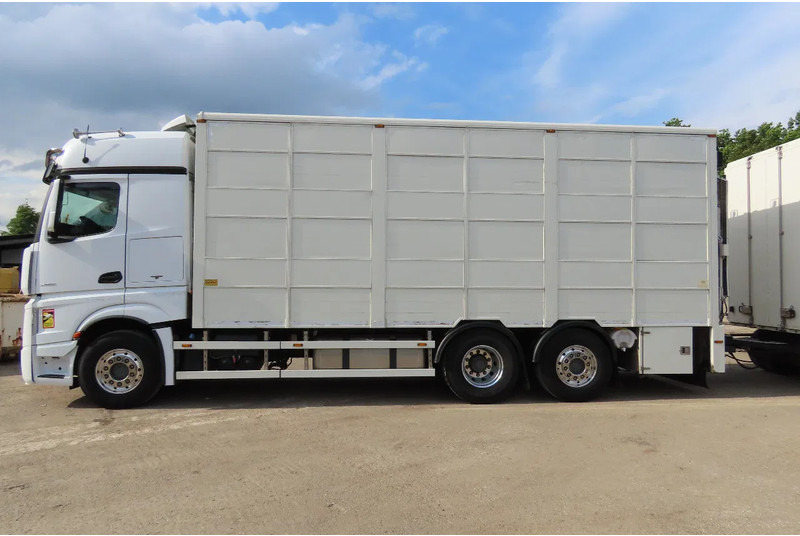 Mercedes-Benz Actros 2551 BERDEX 3 decks, All options + Berdex 12/ 2007 - Caminhão transporte de gado: foto 4 Mercedes-Benz Actros 2551 BERDEX 3 decks, All options + Berdex 12/ 2007 - Caminhão transporte de gado: foto 4