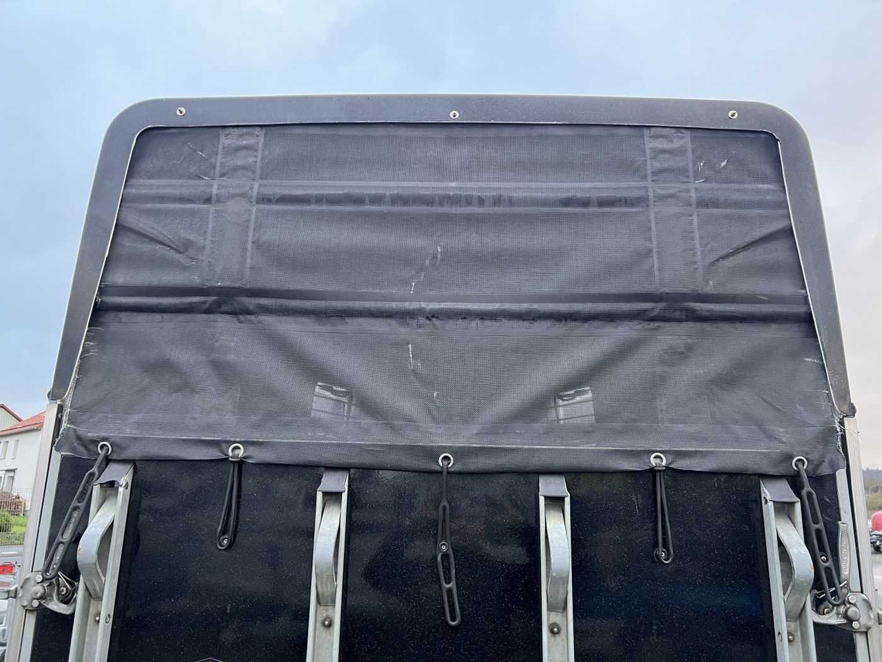 Reboque para cavalos BOECKMANN Master S - WCF ALB Pferdeanhänger: foto 13