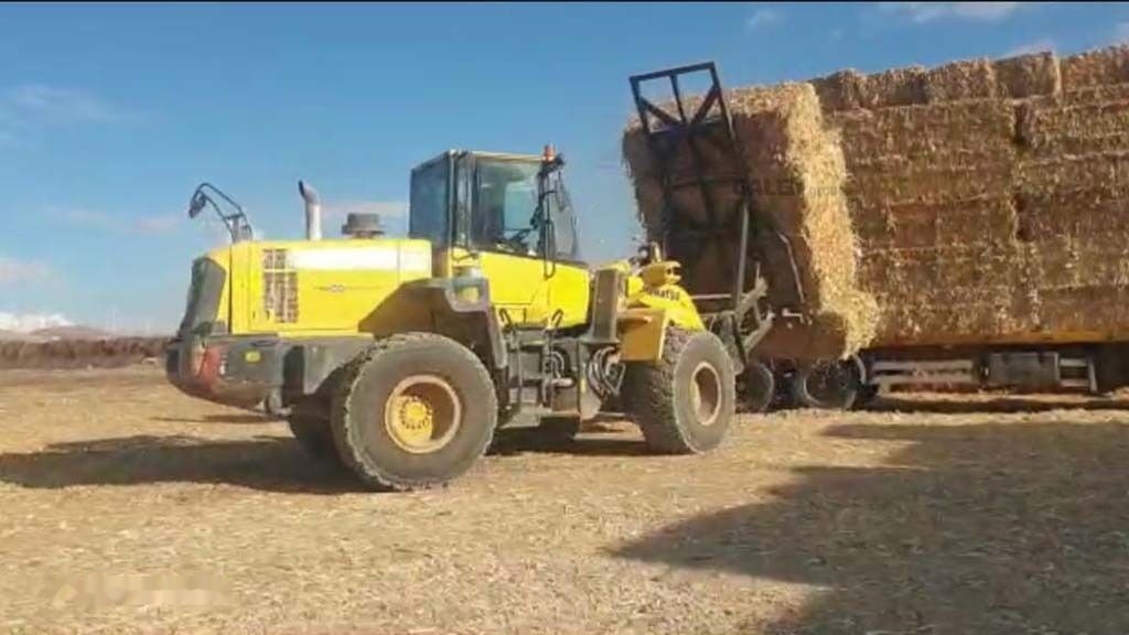Galen Loader Bale Spear Attachment - Garfos de Máquina agrícola: foto 4 Galen Loader Bale Spear Attachment - Garfos de Máquina agrícola: foto 4
