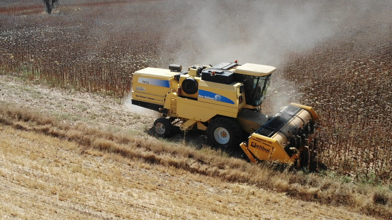 ELİBOL FREESUN 480 ROW INDEPENDENT SUNFLOWER HEADER - Plataforma para colher girassol: foto 5 ELİBOL FREESUN 480 ROW INDEPENDENT SUNFLOWER HEADER - Plataforma para colher girassol: foto 5