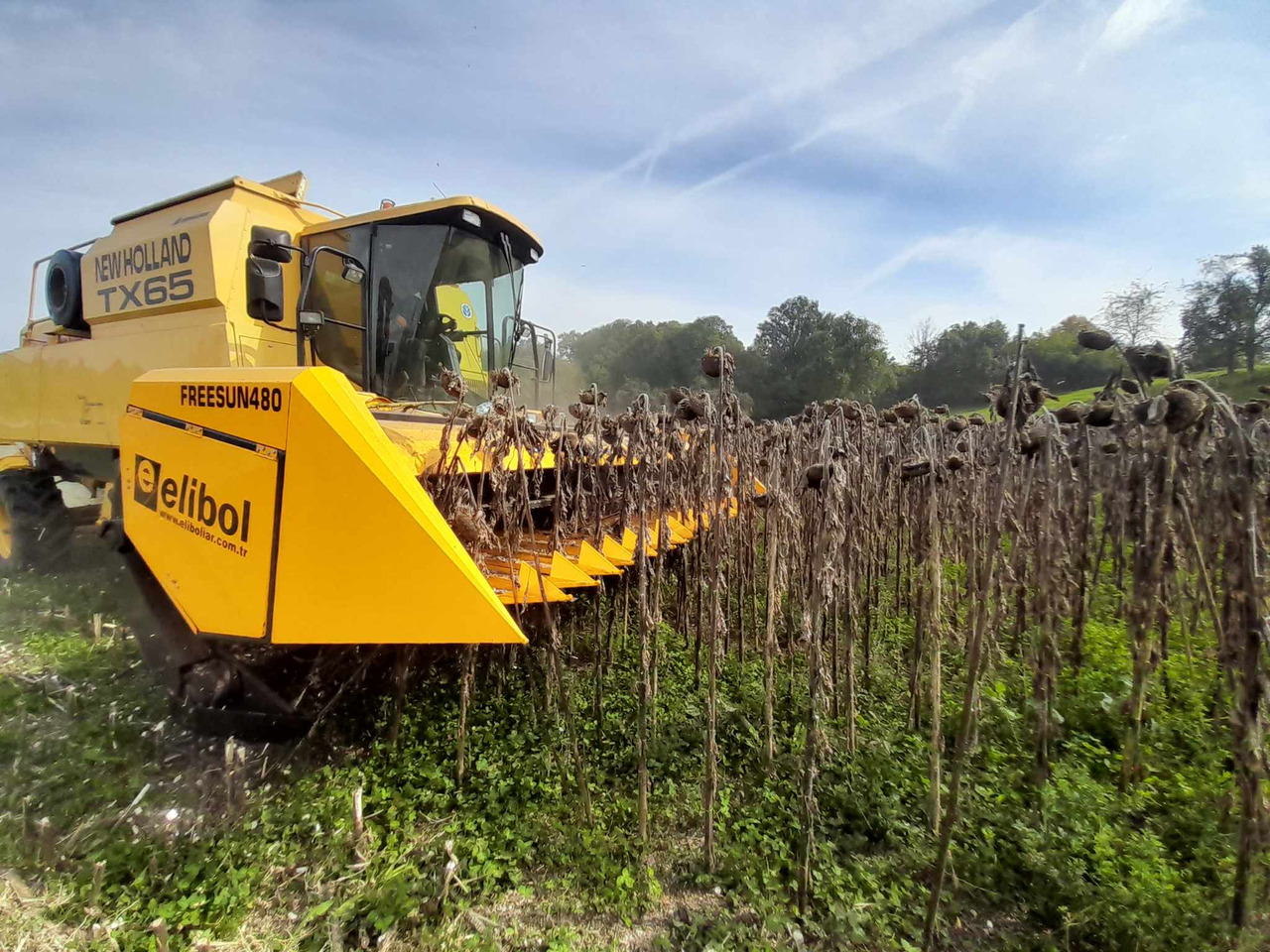 ELİBOL FREESUN 480 ROW INDEPENDENT SUNFLOWER HEADER - Plataforma para colher girassol: foto 4 ELİBOL FREESUN 480 ROW INDEPENDENT SUNFLOWER HEADER - Plataforma para colher girassol: foto 4