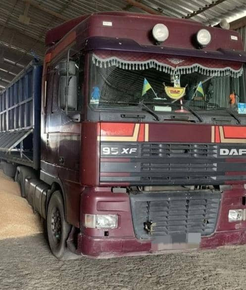 DAF XF 95 - Tractor: foto 5 DAF XF 95 - Tractor: foto 5