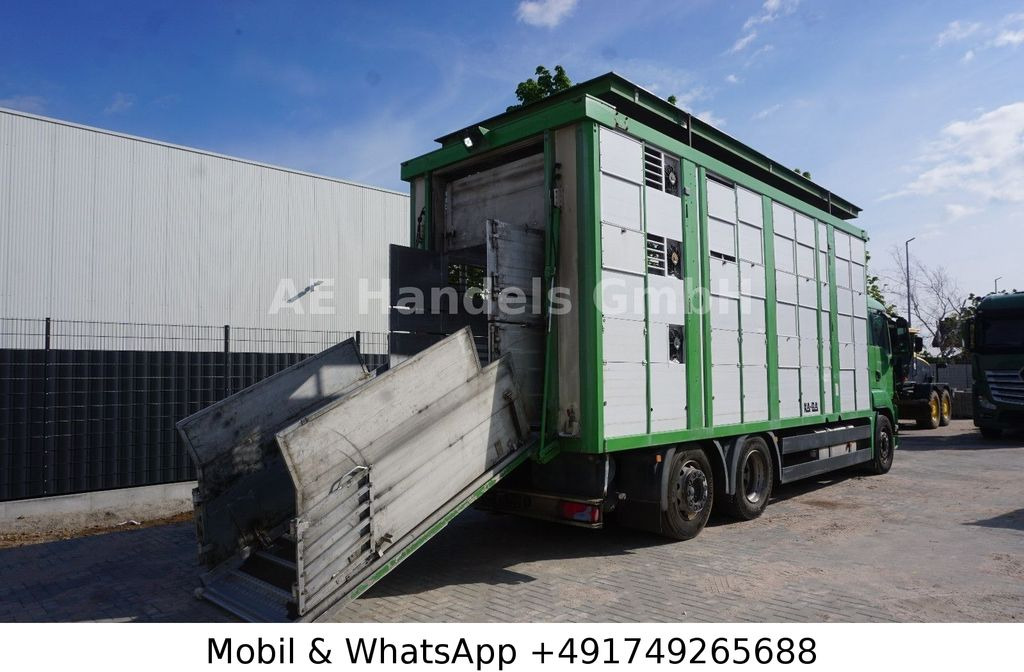 MAN TGS 26.440 LL KABA * EEV/3-Stock/Lüfter/VollAlu - Caminhão para transporte de cavalos: foto 3 MAN TGS 26.440 LL KABA * EEV/3-Stock/Lüfter/VollAlu - Caminhão para transporte de cavalos: foto 3