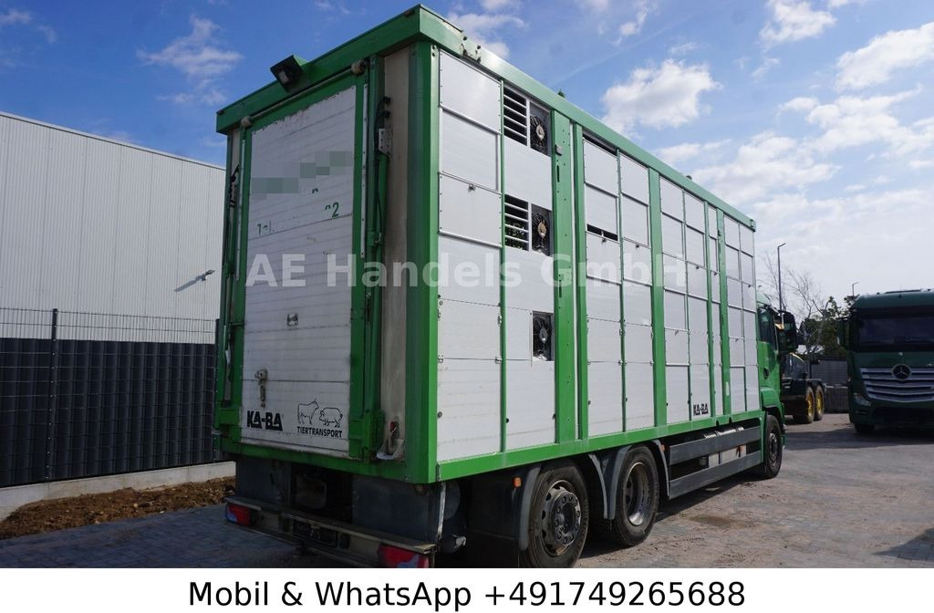 MAN TGS 26.440 LL KABA * EEV/3-Stock/Lüfter/VollAlu - Caminhão para transporte de cavalos: foto 4 MAN TGS 26.440 LL KABA * EEV/3-Stock/Lüfter/VollAlu - Caminhão para transporte de cavalos: foto 4