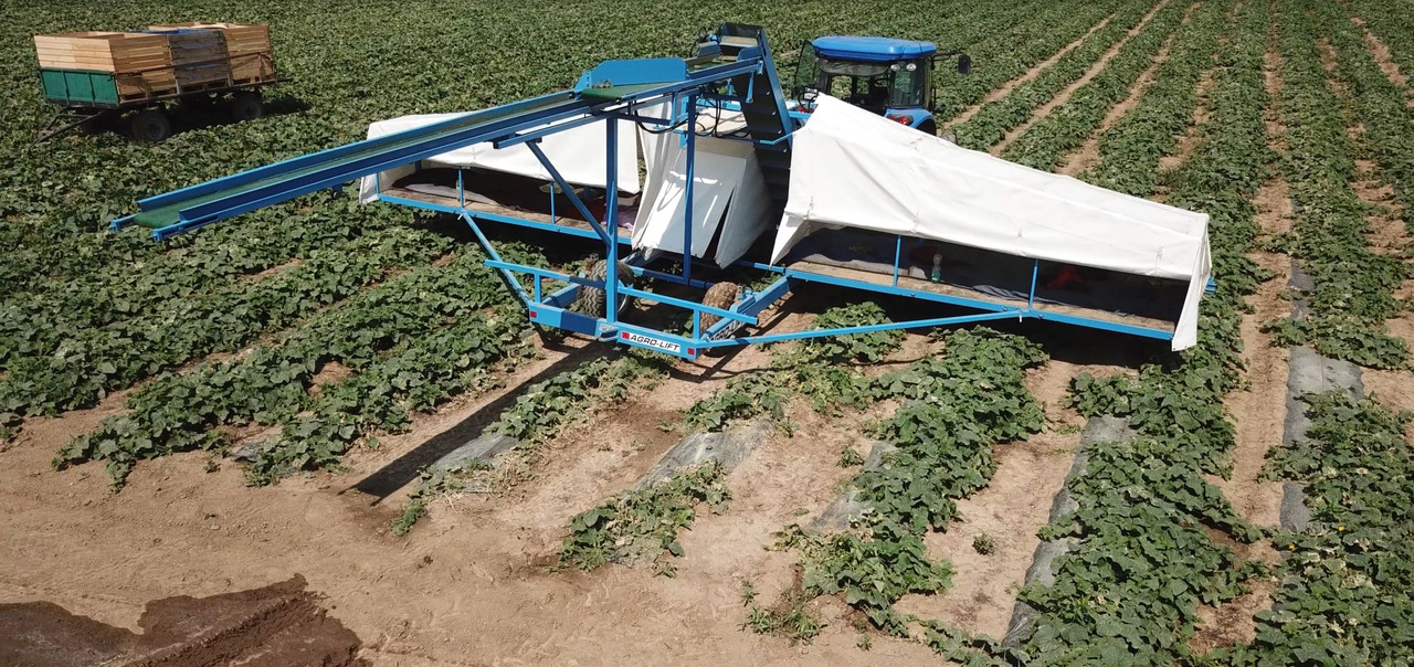 AGRO-LIFT Kombajn do ogórków - Colheitadeira: foto 3 AGRO-LIFT Kombajn do ogórków - Colheitadeira: foto 3