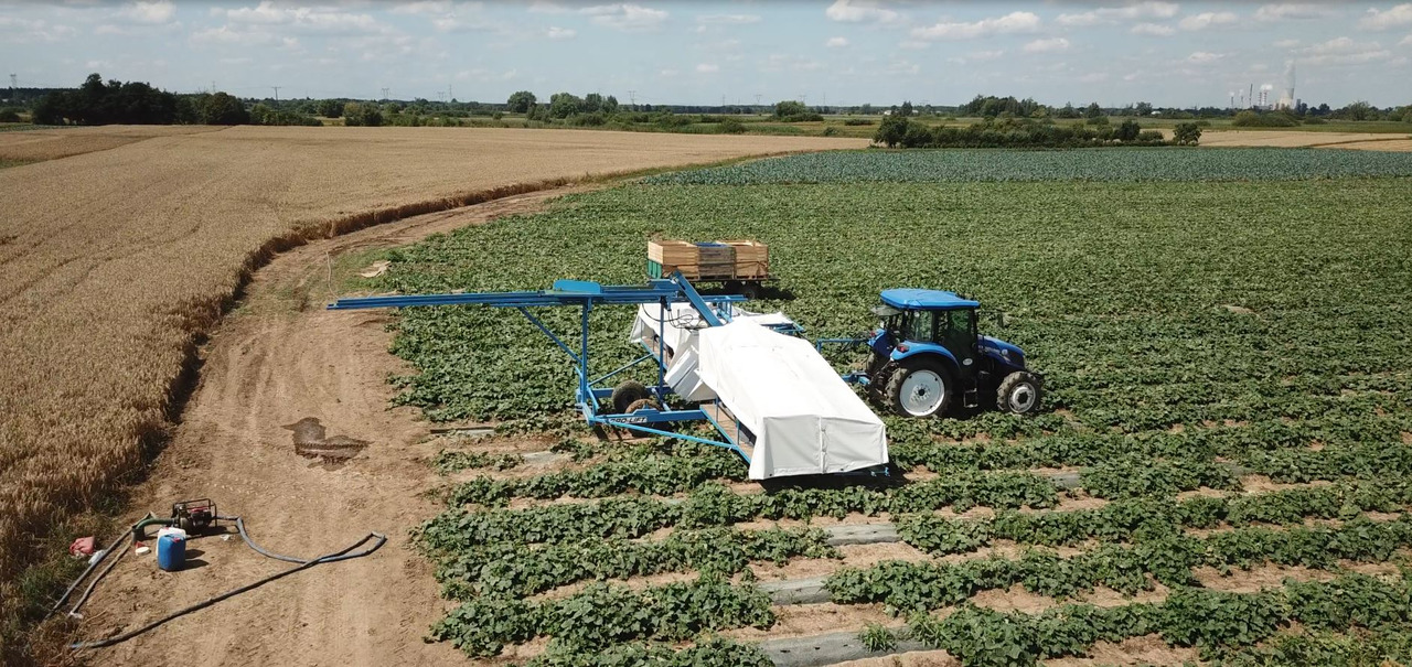 AGRO-LIFT Kombajn do ogórków - Colheitadeira: foto 5 AGRO-LIFT Kombajn do ogórków - Colheitadeira: foto 5