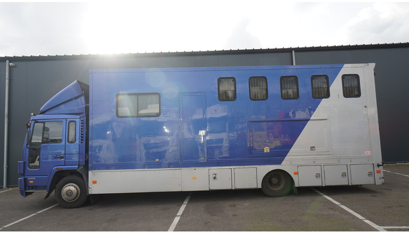Volvo FL 6-9 HORSE TRANSPORT 341.000KM MANUAL GEARBOX - Caminhão para transporte de cavalos: foto 1 Volvo FL 6-9 HORSE TRANSPORT 341.000KM MANUAL GEARBOX - Caminhão para transporte de cavalos: foto 1