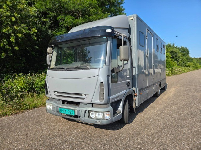 IVECO 75E - Caminhão transporte de gado: foto 1 IVECO 75E - Caminhão transporte de gado: foto 1