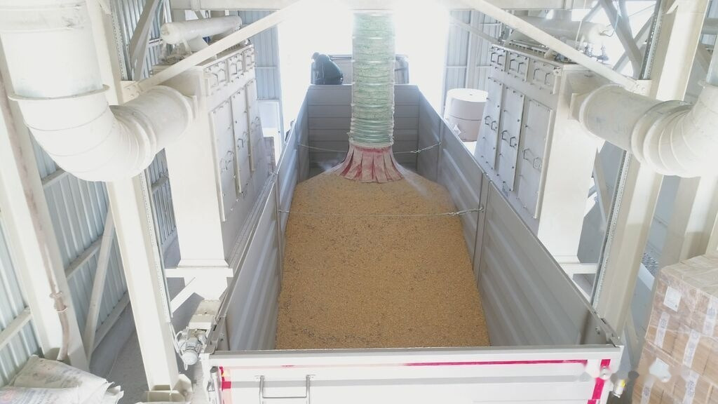 Semireboque basculante para transporte de materiais a granel nuevo Fesan DANGAL ZERNOVOZ GRAIN HARDOX REAR TIPPER: foto 7