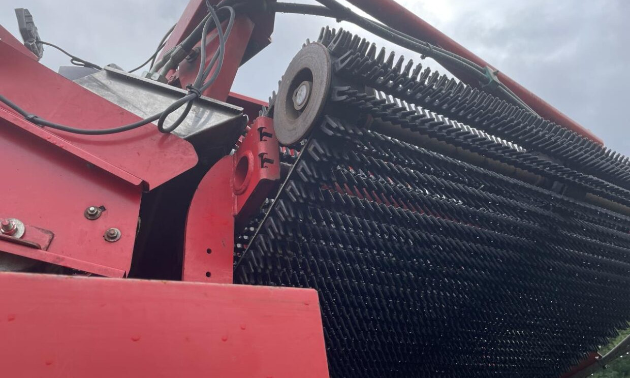 Colheitadeira de batatas Grimme SE 260: foto 18
