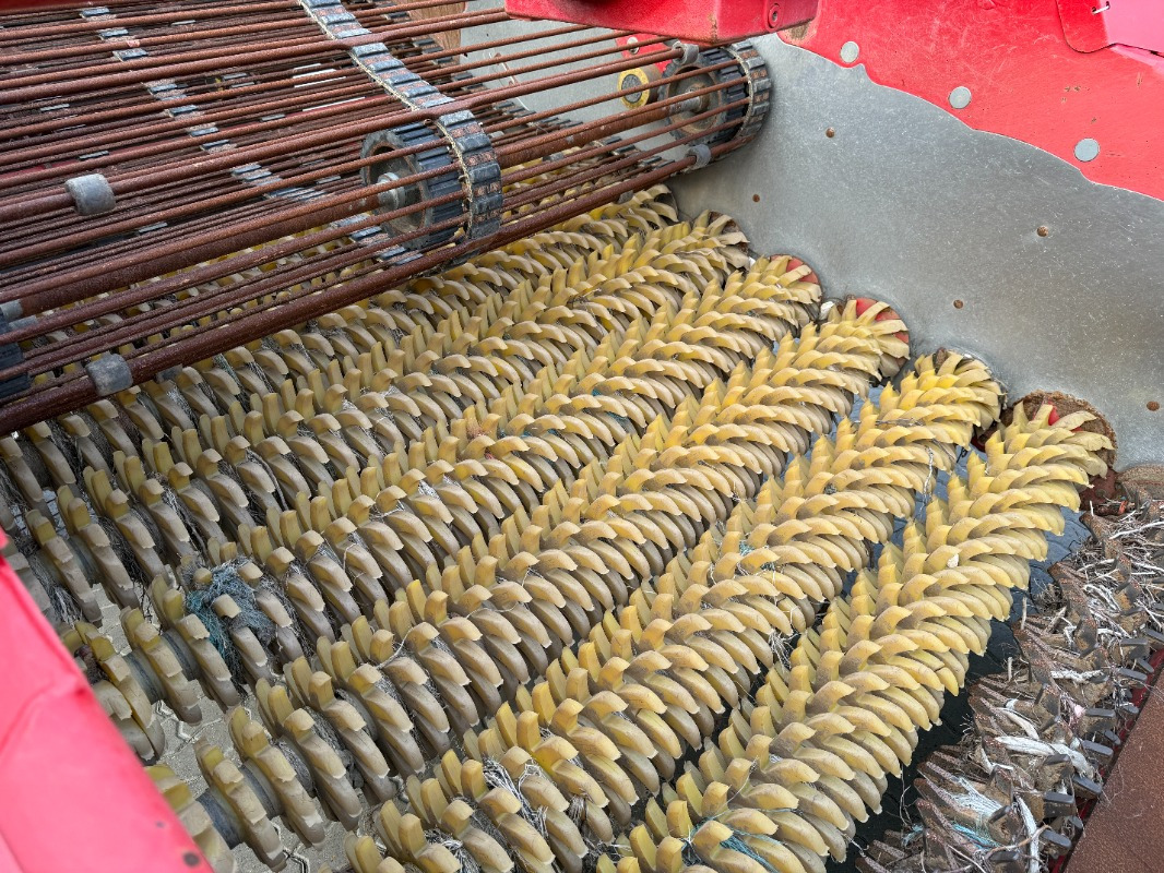 Colheitadeira de batatas Grimme CS 170 RotaPower: foto 10