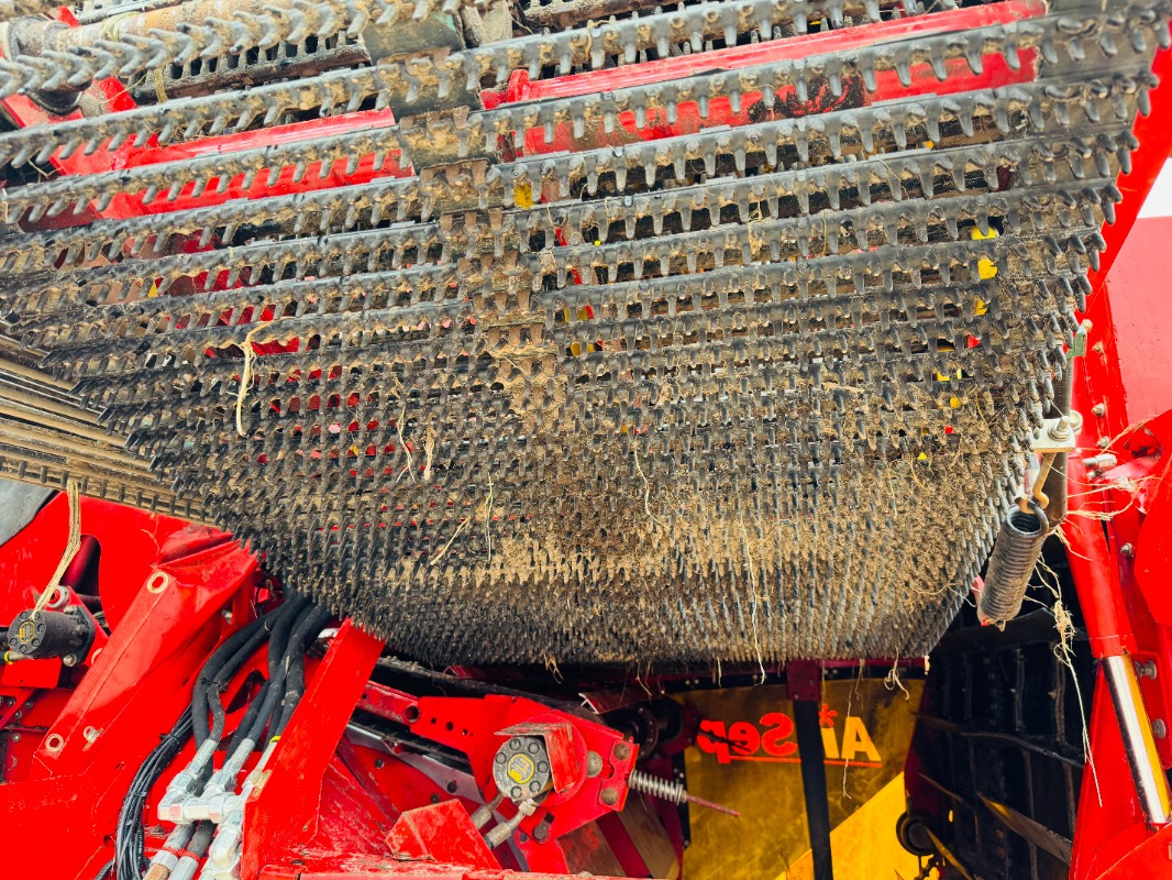 Colheitadeira de batatas Grimme EVO 290 AirSep: foto 8 Colheitadeira de batatas Grimme EVO 290 AirSep: foto 8