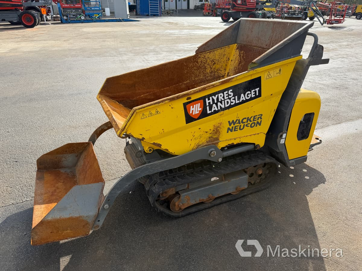 Banddumper Wacker Neuson DT08D - Dumper de rastos: foto 1 Banddumper Wacker Neuson DT08D - Dumper de rastos: foto 1