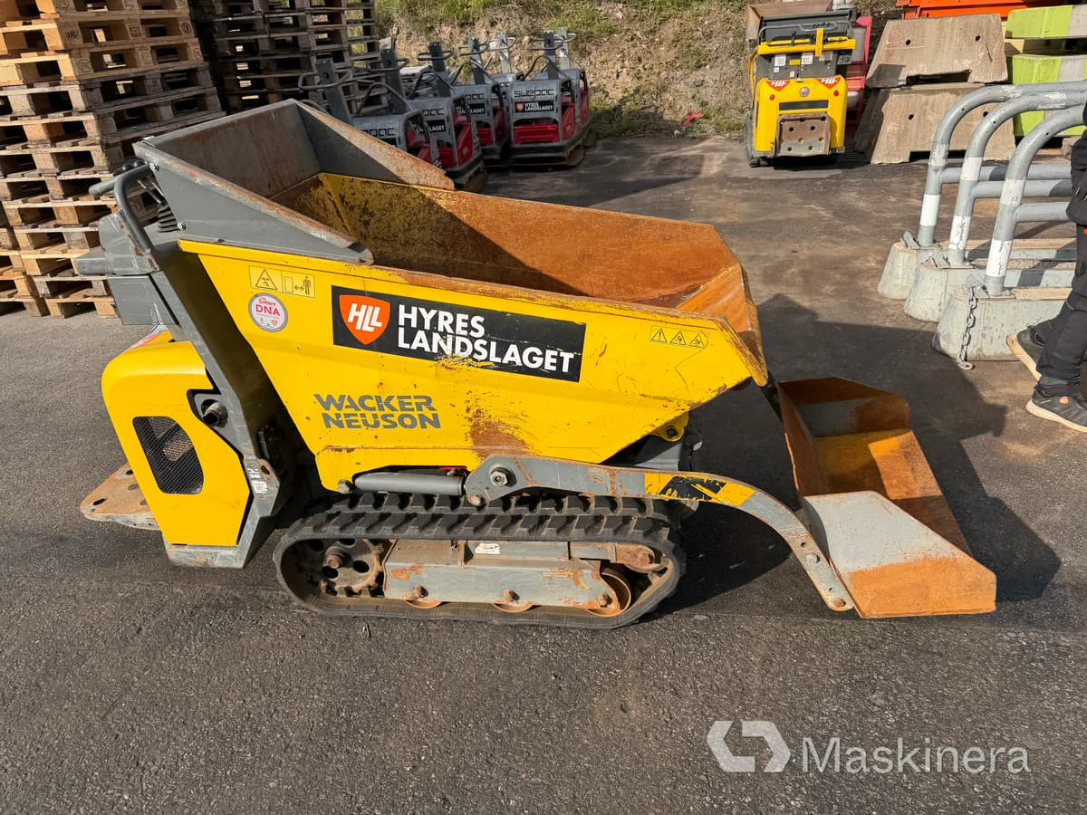 Banddumper Wacker Neuson DT08D - Dumper de rastos: foto 4 Banddumper Wacker Neuson DT08D - Dumper de rastos: foto 4