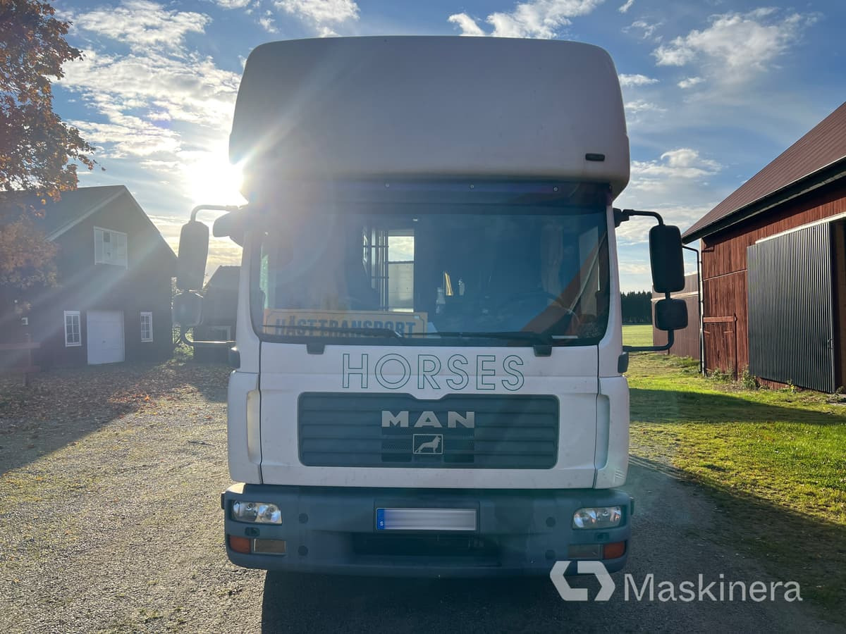 Hästlastbil MAN TGL 10.210 4X2 BL - Caminhão para transporte de cavalos: foto 2 Hästlastbil MAN TGL 10.210 4X2 BL - Caminhão para transporte de cavalos: foto 2