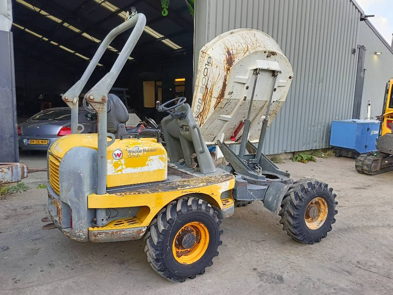 Dumper Neuson 3001 DUMPER DUMP TRUCK WIELDUMPER: foto 1
