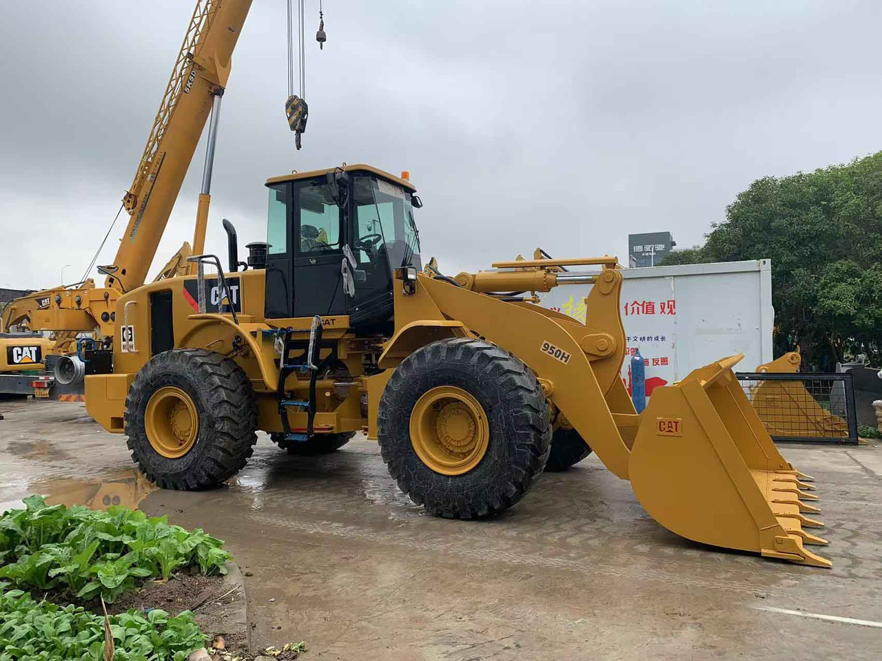 Caterpillar Wheel Loader CAT 950H, 950G Secondhand Condition - Carregadeira de rodas: foto 2 Caterpillar Wheel Loader CAT 950H, 950G Secondhand Condition - Carregadeira de rodas: foto 2